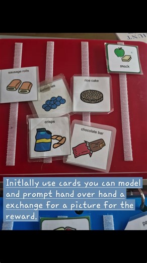 Picture Exchange Communication System (PECS) book to introduce alternative communication.