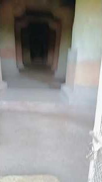 Bagh Gufa Vlog | Bagh Caves Dhar MP Travel & History 🏛️ | Ancient Buddhist Paintings #shorts