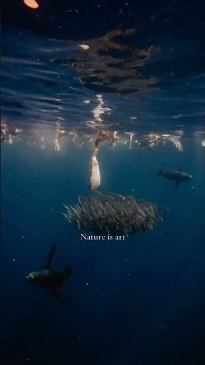 Nature is art - Baja California Sur