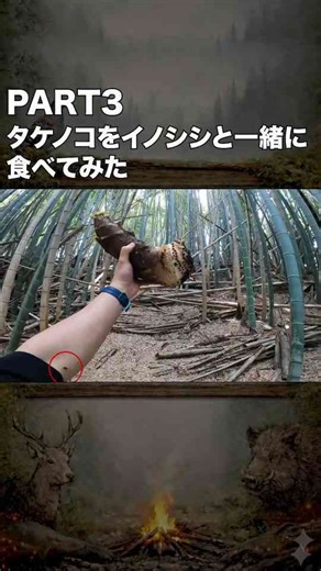PART3 自分の竹林のタケノコをイノシシと一緒に食べてみた!