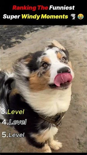 Ranking The Funniest Super Windy Moments 🌪️😂