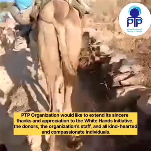 ‏‎People to People Organization Delivers Humanitarian Aid to Displaced Persons at 6,300 Feet Above Sea Level in the Jebel Marra Mountains, Darfur In a notable humanitarian development, teams from People to People Organization, in partnership with humanitarian initiatives, successfully delivered humanitarian assistance to displaced communities in villages around Tarsin, including Tolo, Jawa, Turbua, and Barqu Bra in Jebel Marra, Darfur. This operation marks the first of its kind since the outbrea