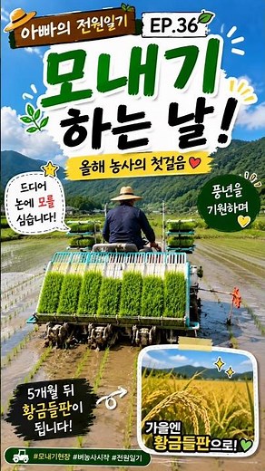 아빠의전원일기 ep.36🚜 이양기 모내기 현장 공개! #이앙기 #이양기모내기 #벼농사 #농사일기 #전원생활 #시골일상 #shorts