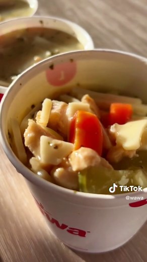 Warm Up with Delicious Wawa Soup Options