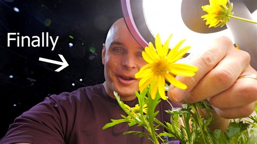 I didn't expect LG to go this hard at CES 2025