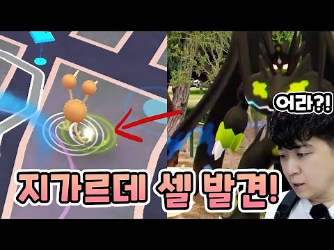 A Gangnam tour to get Zygarde cells! How many cells did you get on Route 8? [Pokemon GO]