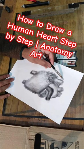 Realistic Human Heart Sketch 🫀 | Pencil Shading Tutorial#shorts
