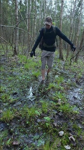 No Shoes, No Problem: Surviving the Swamp Barefoot 🌿👣