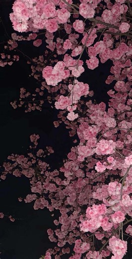 #amour #fyp #pourtoiii #reel #citation