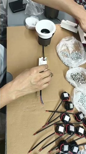 Commercial downlight assembly