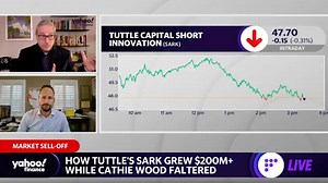 Meme stocks, tech in for 'messy' repricing amid market sell-off: Strategist