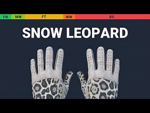 Driver Gloves Snow Leopard - Skin Float And Wear Preview