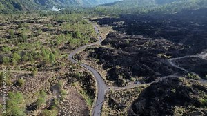 Small asphalt road winding along a black field of hardened lava, an aerial view. Unusual volcanic landscapes after the eruption of Mount Batur volcano a number of years ago. Green trees seen at left