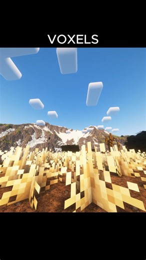 which shaders do you like ?