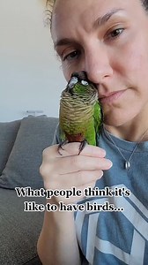 Love Birds vs Conure: Expectations vs. Reality