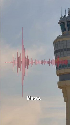 Pilots Heard Meowing, Barking on Air Traffic Control Frequency: 'Need to be Professional' #shorts