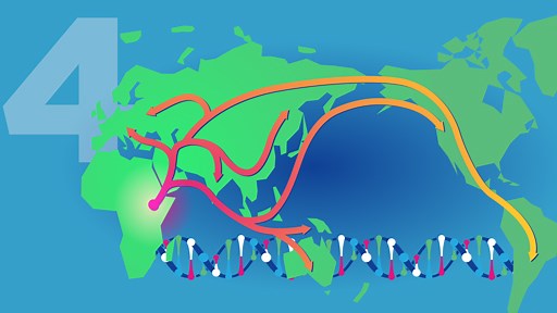 Human Origins and Ancestry