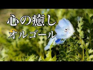 【癒し音楽】自律神経に優しいオルゴールのヒーリングミュージック、心が落ちつくリラックス音楽、不安やストレス緩和のための癒しBGM/睡眠用・作業用・勉強用BGM