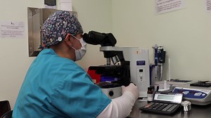 How do we determine if a sperm sample is considered normal or...