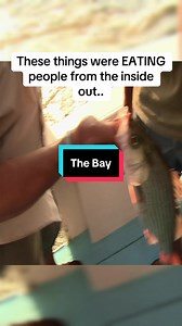 The Bay: Creepiest Creature in Found Footage Horror