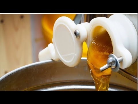 Apiculture business : Apiary Technical points.