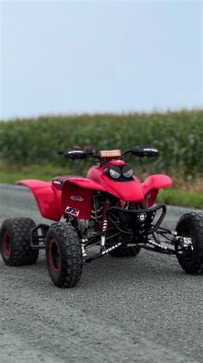 Honda 400EX Build: Tips for a Clean and Powerful ATV