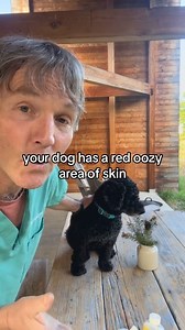 67K views · 692 reactions | Dog Hot Spot? Best Ever Home Remedy! #dogskin #hotspot #allergies #homeremedy #veterinarysecrets | Daily Pet Tips | Facebook