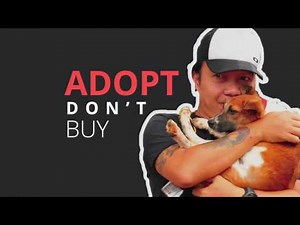 WHY NEED TO ADOPT?