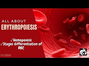 ALL ABOUT ERYTHROPOIESIS ,GENESIS OF BLOOD CELLS, AND STAGES OF RBC DIFFERENTIATION ||CJ MEDS ||