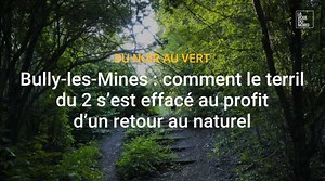 Du noir au vert : à Bully-les-Mines, comment le terril du 2 s’est effacé du paysage au profit d’un retour au naturel