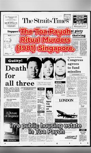 Understanding the Toa Payoh Ritual Murders of 1981