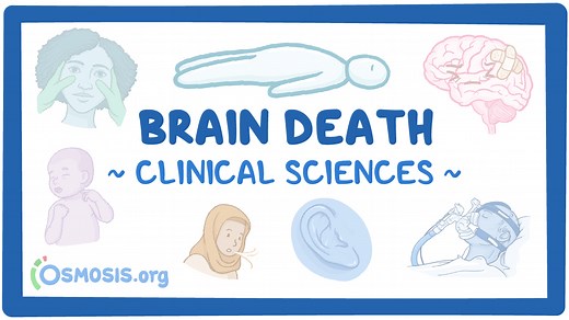 Brain death: Video & Meaning | Osmosis