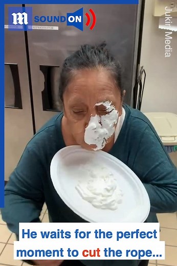 32K views · 52 reactions | Her revenge will taste sweeter than the whipped cream that's smeared on her face! 臘  Additional clip via ViralHog | Daily Mail Video | Facebook