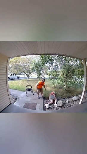 803K views · 10K reactions |  #viral #funnyvideos #fails | Johnnygee | Facebook