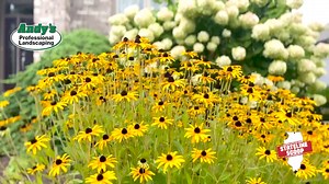  Fall is here, and you know what that means – it's time for the...