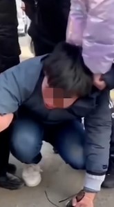 Influencer Ran a Cat Maltreatment Telegram Chat Room! | Stephanie Soo