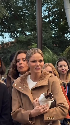 315 reactions · 17 shares | ☀️ Wishing you a beautiful day – with an...