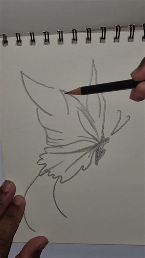 part 07 | How to draw a Realistic butterfly |satisfying pencil Sketching ASMR 👁️✏️ #drawing#art