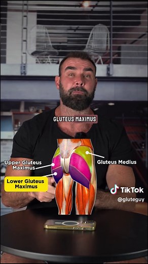 Effective Glute Exercises for Optimal Muscle Development