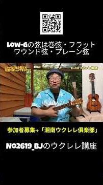 No.2619_Low-G strings: wound strings, flatwound strings, plain strings / BJ's Ukulele Lessons #cl...