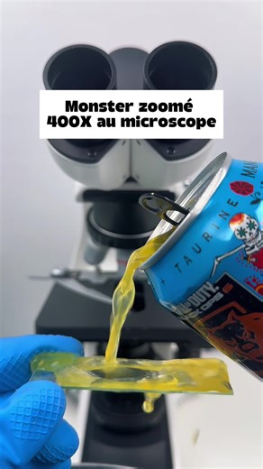 Exploring Beverages Under the Microscope