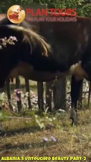 Albania's Untouched Beauty Part-2