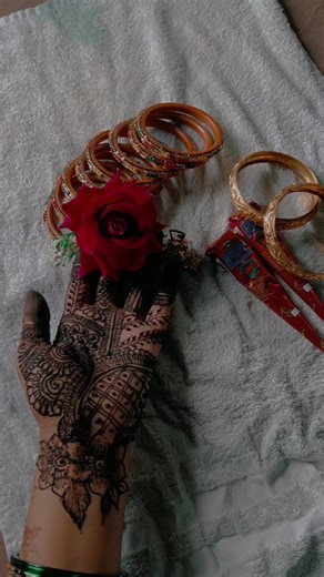 Mehendi Celebration with Ruchi and Loved Ones
