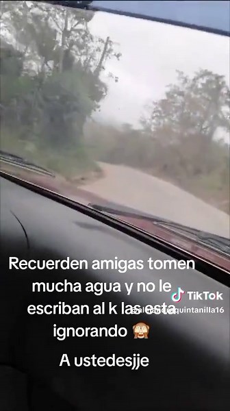 Videos de Alejandra (@alejandraquintanilla16) con “Pobre Tonto Enamorado - 2020 Remastered - Los Temerarios”