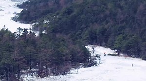 cfmotor 450MT #CFmotor #mt450 #foryou #fyp