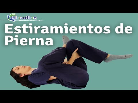 Leg Stretches - Lower Limb | Fisiolution
