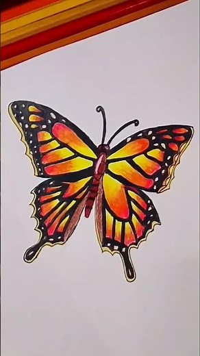 How to draw a Realistic Butterfly 🦋 #drawing #pencildrawing #art #tutorial #shorts #shortsfeed