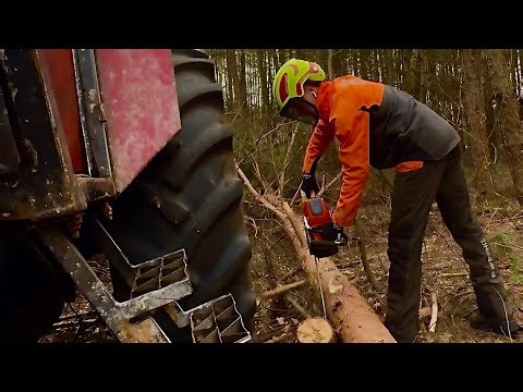 POV: Ursus 1224 Biomass Logging – Forest Work & Timber Extraction