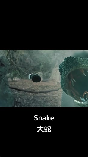 The giant snake tried to ambush the beautiful woman but failed! #大蛇 #snake #优酷电影 #youkumovie | Youku Movie