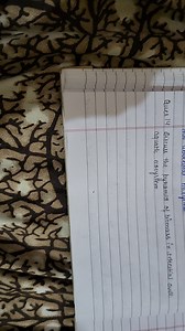 Discuss the pyramid of biomass in terrestrial and aquatic ecosy... | Filo